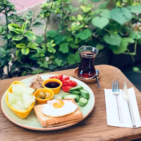 Le Banc Auberge de jeunesse *